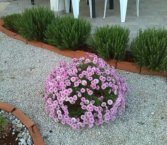 Laura I Angelina Appartement